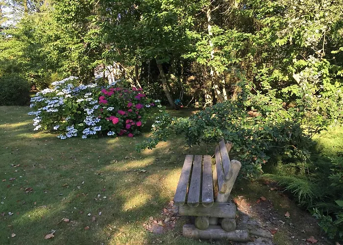 Wattprinzessin * Nebel